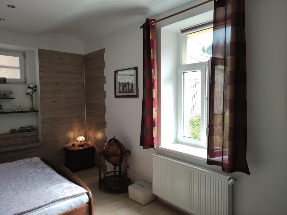 Apartman Friedrichsruh Apartment Marianske Lazne Exterior photo